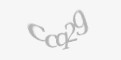 Beveiligingscode